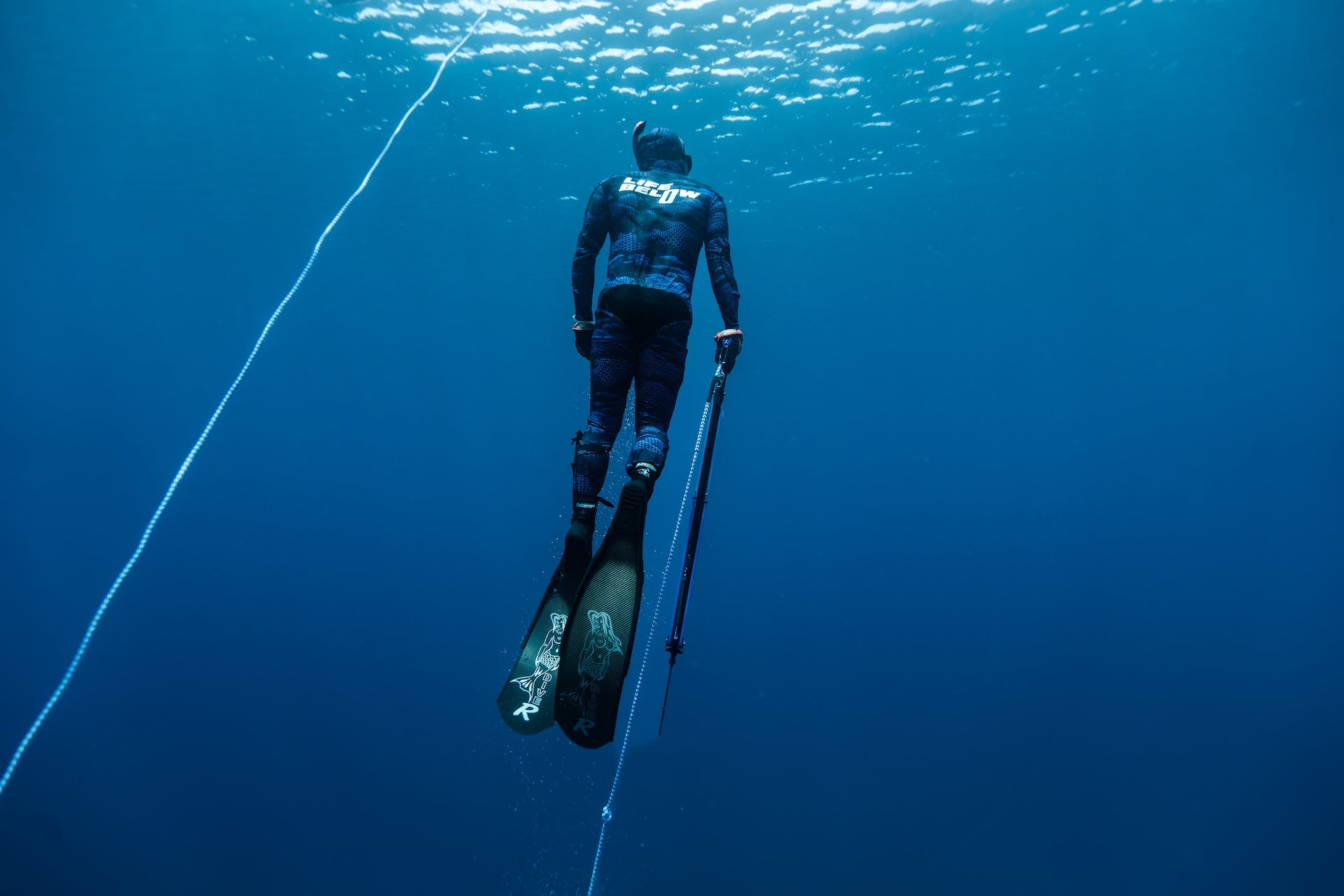 Life Below "DNA" Stinger Suit 2 Piece Electric Blue