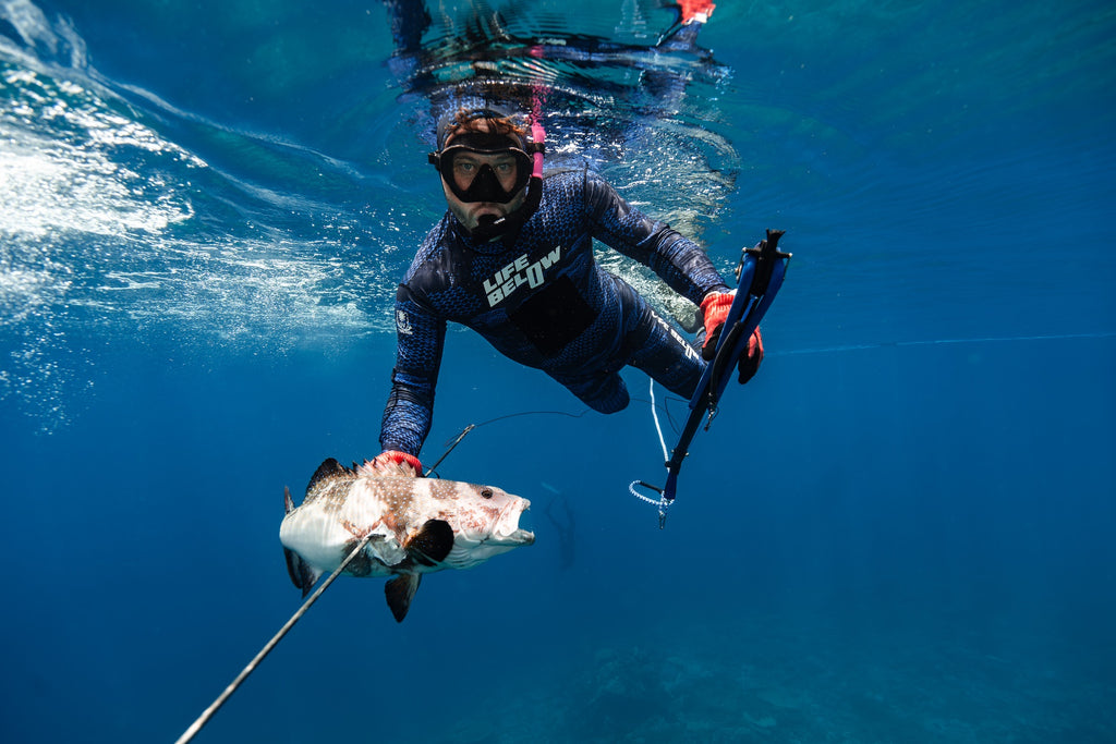 Life Below "DNA" Stinger Suit 2 Piece Electric Blue