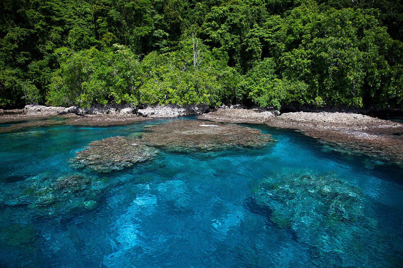 Tropical islands and reefs of the Solomon Islands