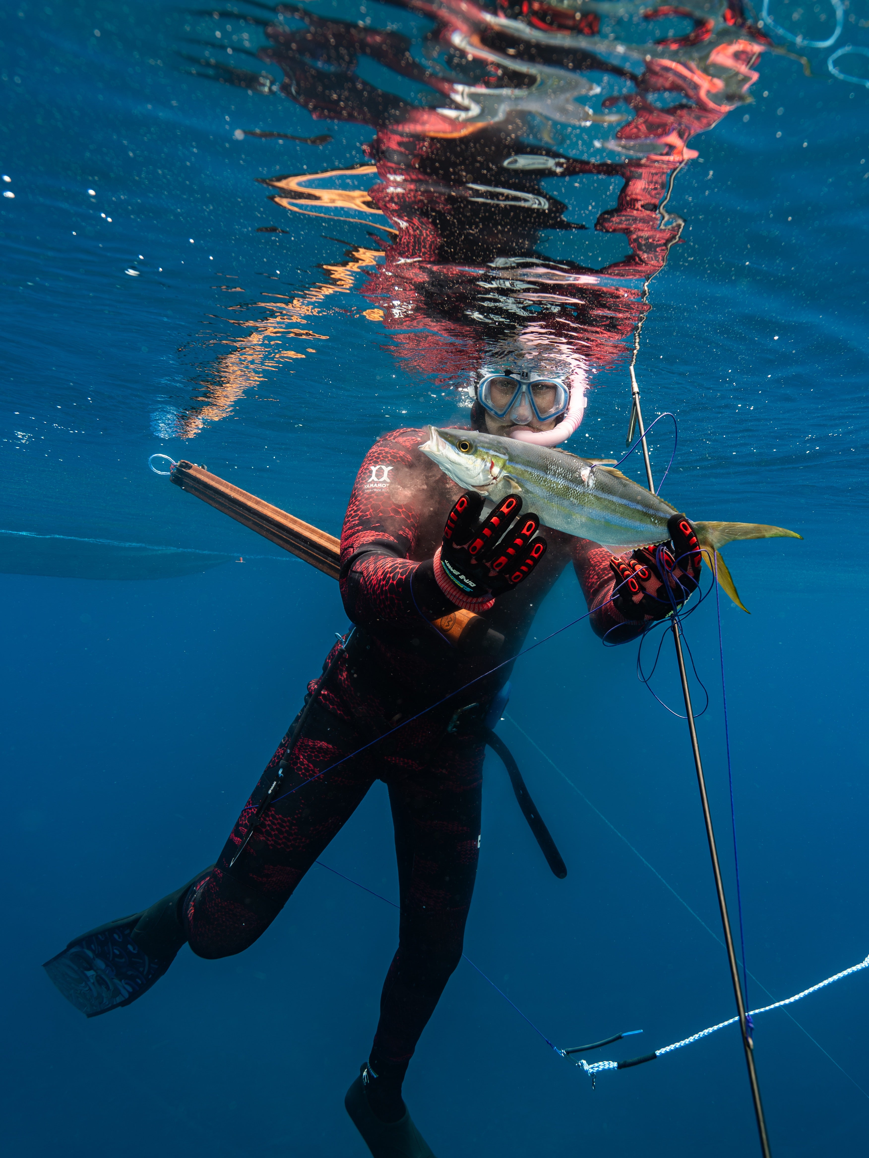 Life Below spearfishing gear in use underwater